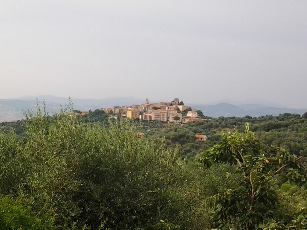 Agriturismo Norianino Montemerano Exterior foto